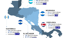 El Cohep destacó que Guatemala y Costa Rica lideran en niveles de producción.