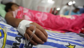 Muertos por dengue suman 137, mayoría pereció en primeras seis horas después de buscar ayuda