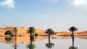 El Sáhara registra sus primeras inundaciones en 50 años