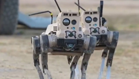 Cómo son los lobos robot, "futuros soldados" de China 