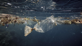 Desarrollan un plástico que se descompone en el agua del mar para reducir la contaminación 