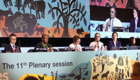 Científicos piden un cambio transformador urgente para salvar biodiversidad en la Tierra 