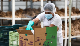 Honduras espera en 2025 un crecimiento económico entre 3.5 y 4.5 %, dice su presidenta 