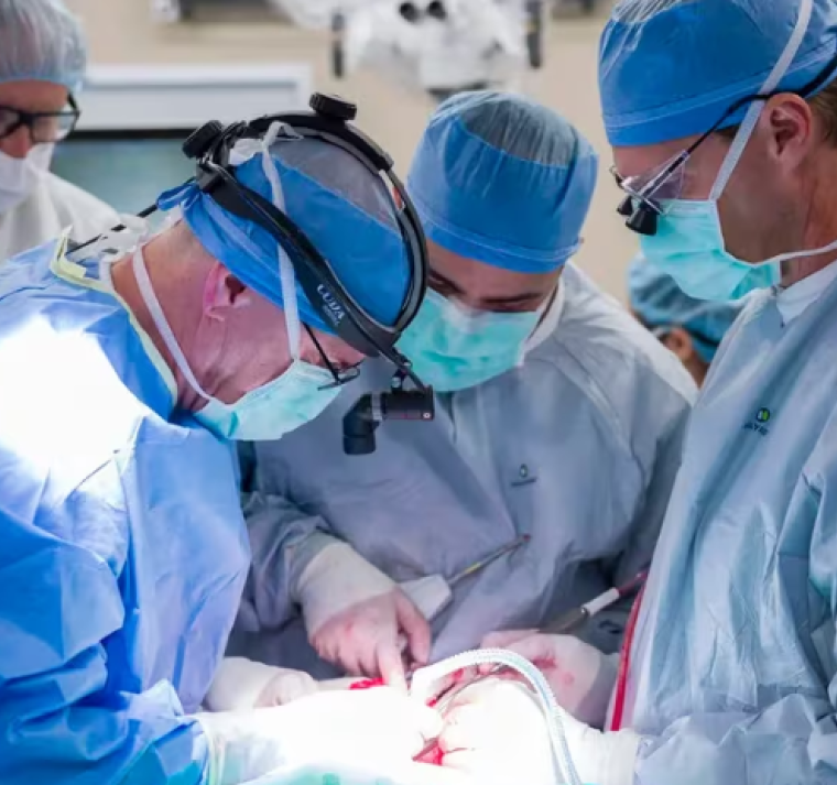 l órgano puede ser afectado por traumatismo, cáncer y otros problemas