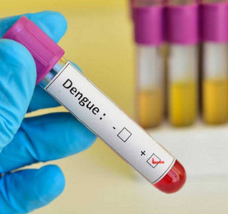 Honduras registra 79 mil casos de dengue este año