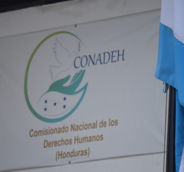 El riesgo o desplazamiento forzado de personas indígenas y afrohondureñas estuvo asociada a causas como las amenazas, asesinatos, extorsión y el despojo de tierras.