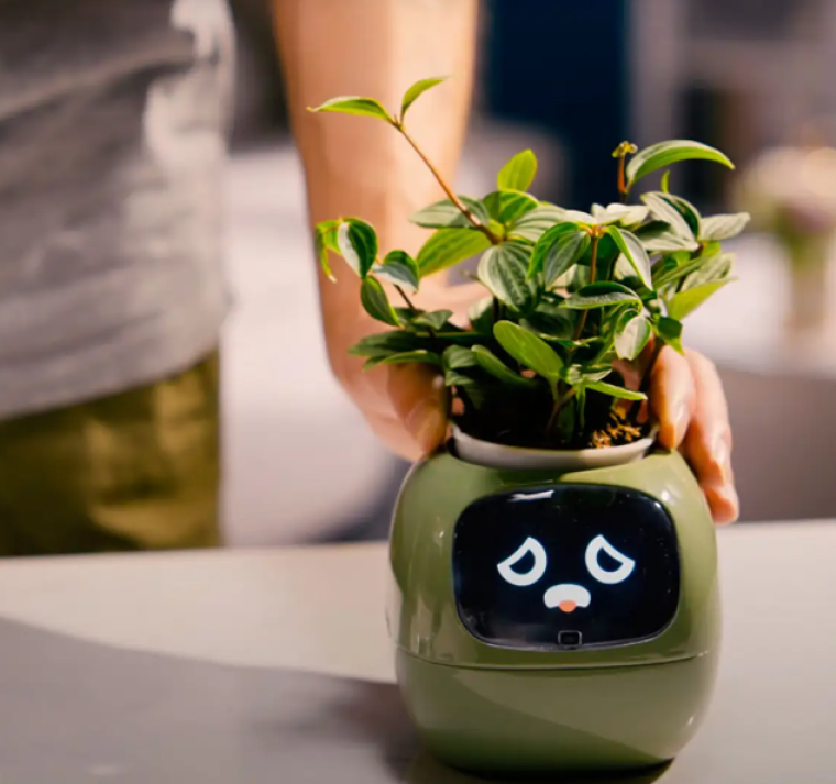Una forma diferente de cuidar de nuestras plantas
