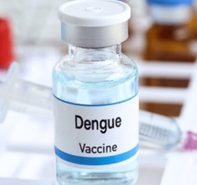 Vacuna contra el dengue entrará a Honduras en octubre
