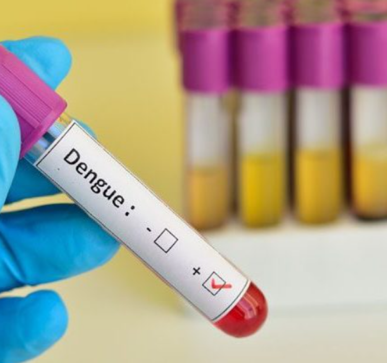 Nadie debe morir por dengue si acude el primer día de síntomas al médico: Tito Alvarado