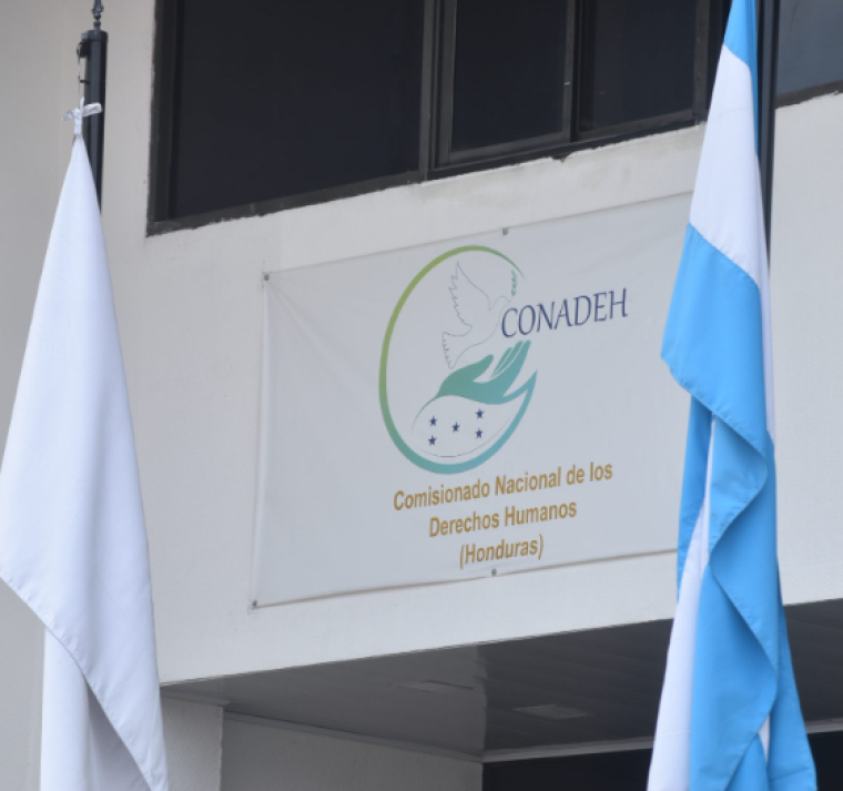 Unos 30 defensores del ambiente murieron violentamente en último trienio, alerta CONADEH