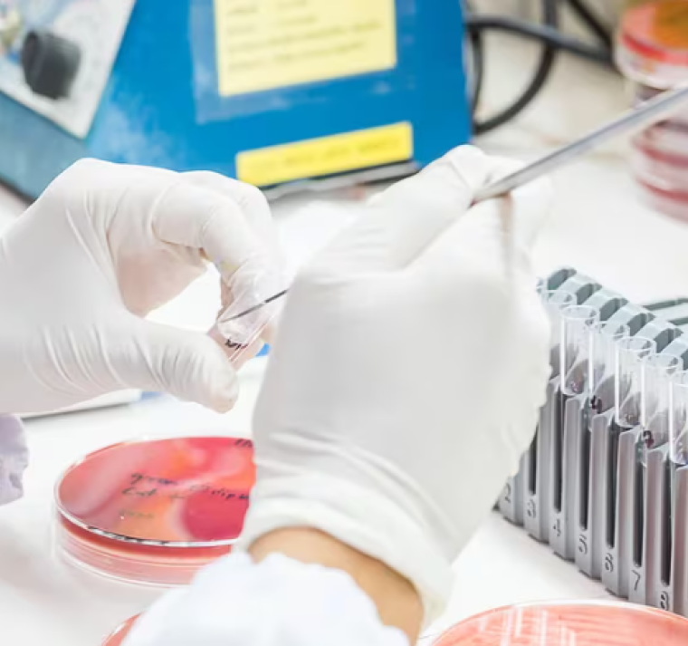 El aumento de la resistencia a los antibióticos podría causar 39 millones de muertes para 2050