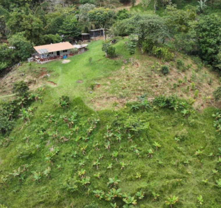 Cero desalojos y reforestar acuerdan gobierno y pobladores de Olancho, La Mosquitia y El Paraíso