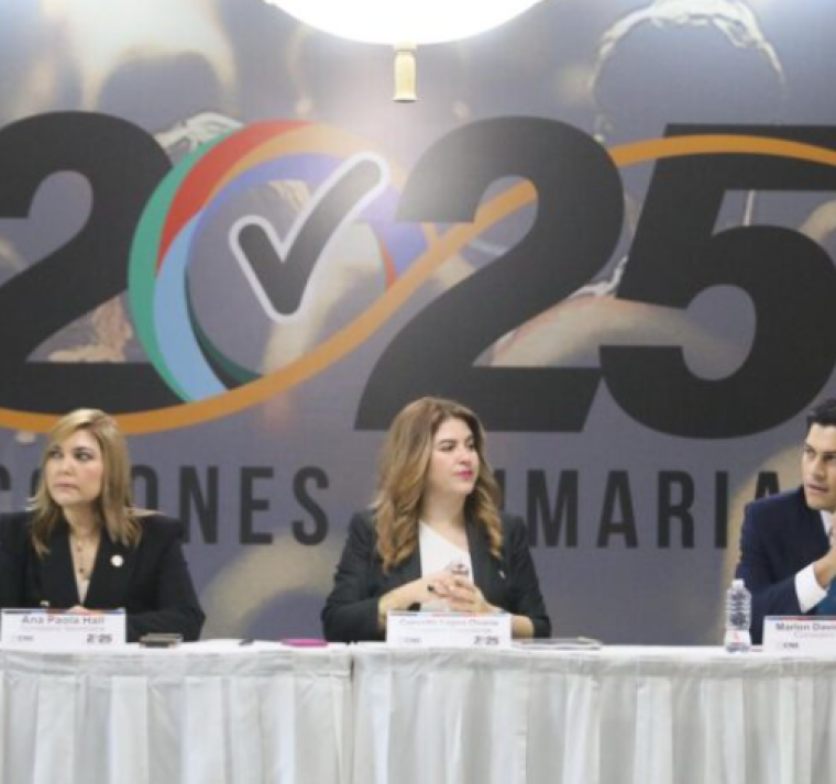 CNE hace oficial la Inscripción de 10 precandidatos presidenciables 