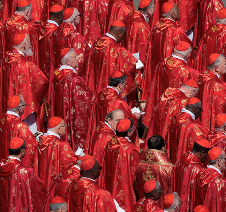 Todos los cardenales que participarán en el cónclave están en Roma 