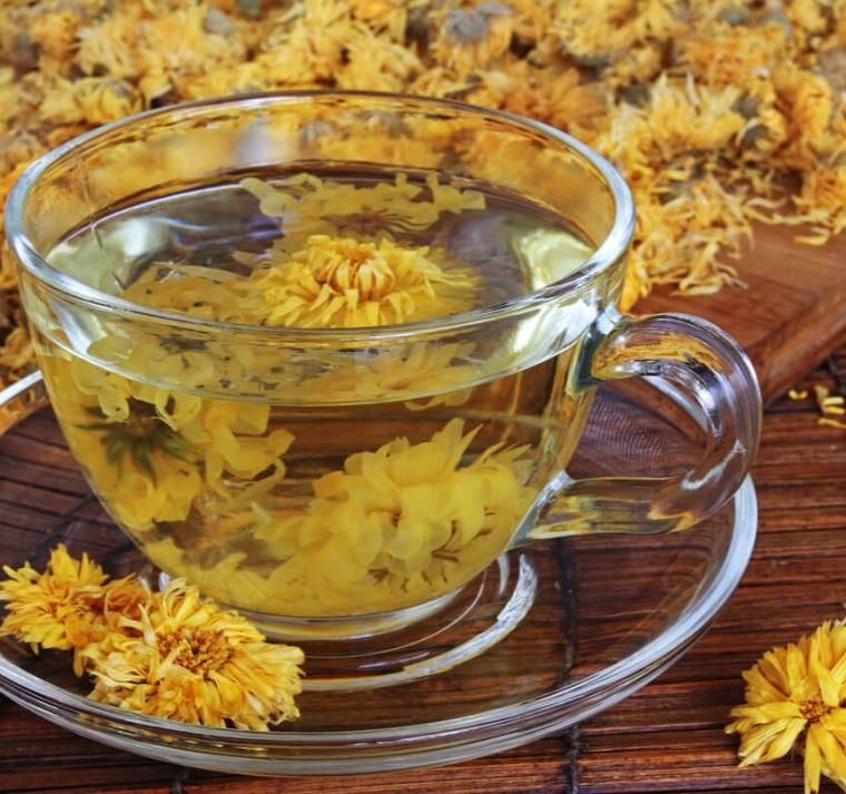 ¿Buscas un té para relajarte? El crisantemo podría ser tu mejor opción 