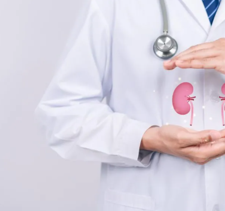 9 hábitos diarios para mantener tus riñones sanos y fuertes