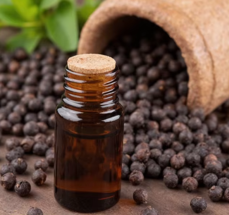 El dúo natural que potencia los nutrientes de tus comidas 